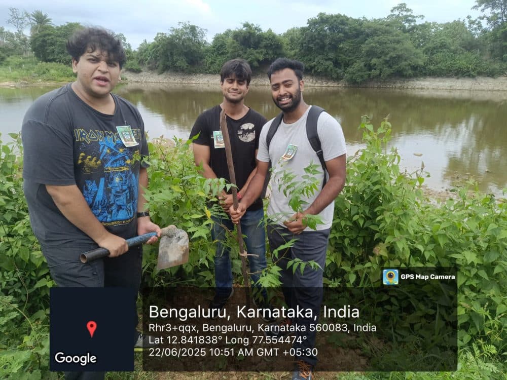 Planting saplings